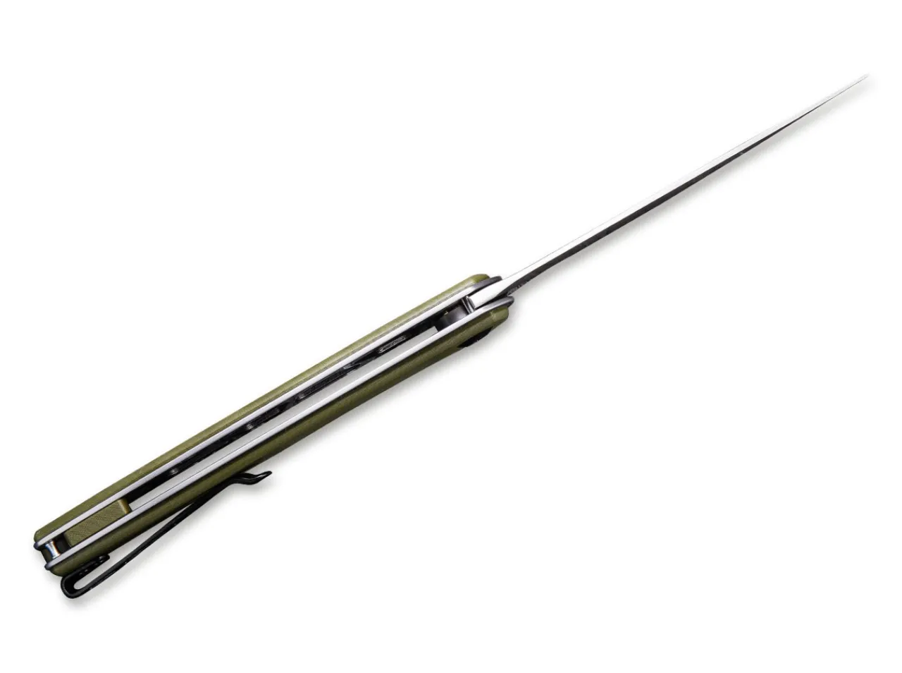 Asticus Green|CIVIVI Hot