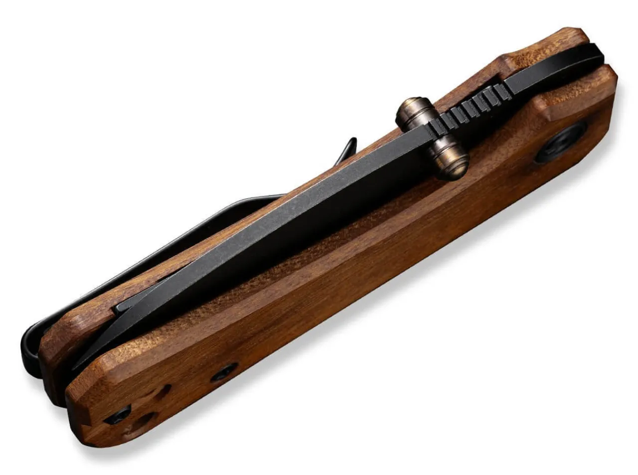 Baby Banter Cuibourtia|CIVIVI Clearance