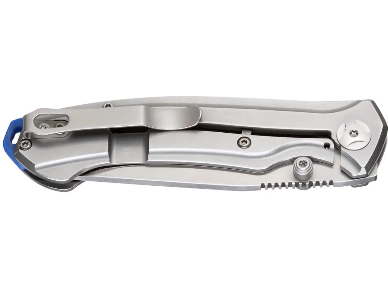 Blue Steel|Magnum Best