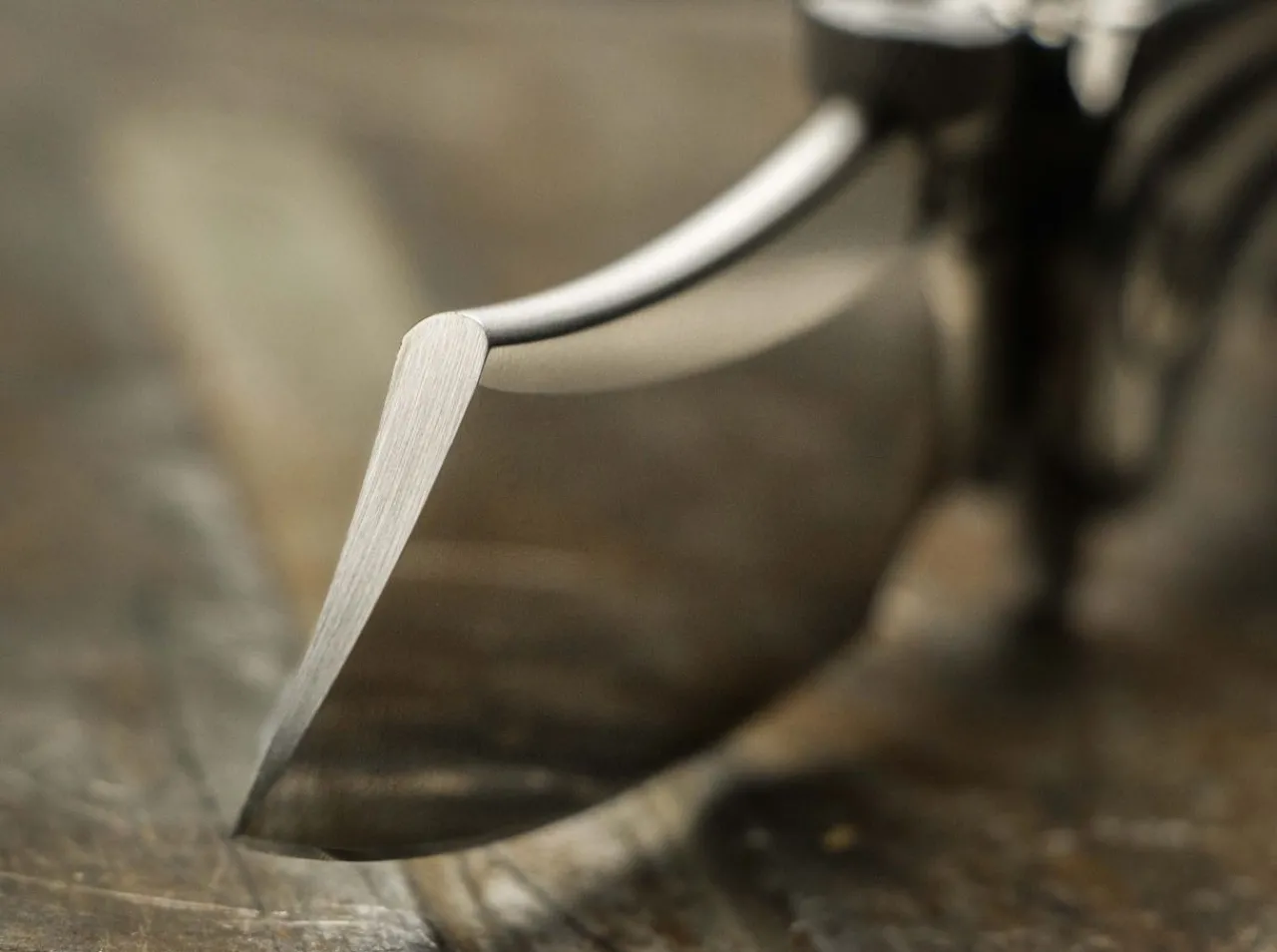 Dao Carbon|Krudo Outlet