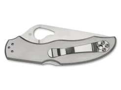 Harrier 2 Stainless Steel Combination|Spyderco Discount