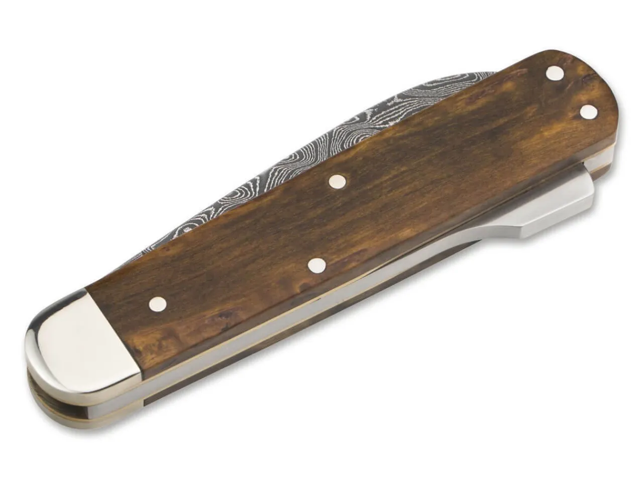 Hunters Knife Mono Damascus Curly Birch Brown|Böker Manufaktur Solingen Best