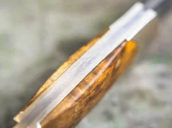 Junior Scout Curly Birch Brown Damascus|Böker Manufaktur Solingen Online