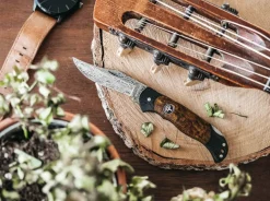 Junior Scout Lightweight Curly Birch Brown Damascus|Böker Manufaktur Solingen Sale