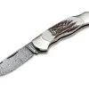 Junior Scout Spearpoint Stag Damascus|Böker Manufaktur Solingen Hot