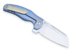 Mini Sheepdog Blue|Kizer
