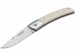 Npv Ivory|Muela Discount