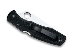 Pacific Salt Plain|Spyderco Hot