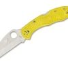 Salt 2 Wharncliffe Plain|Spyderco Hot