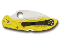 Salt 2 Wharncliffe Plain|Spyderco Hot