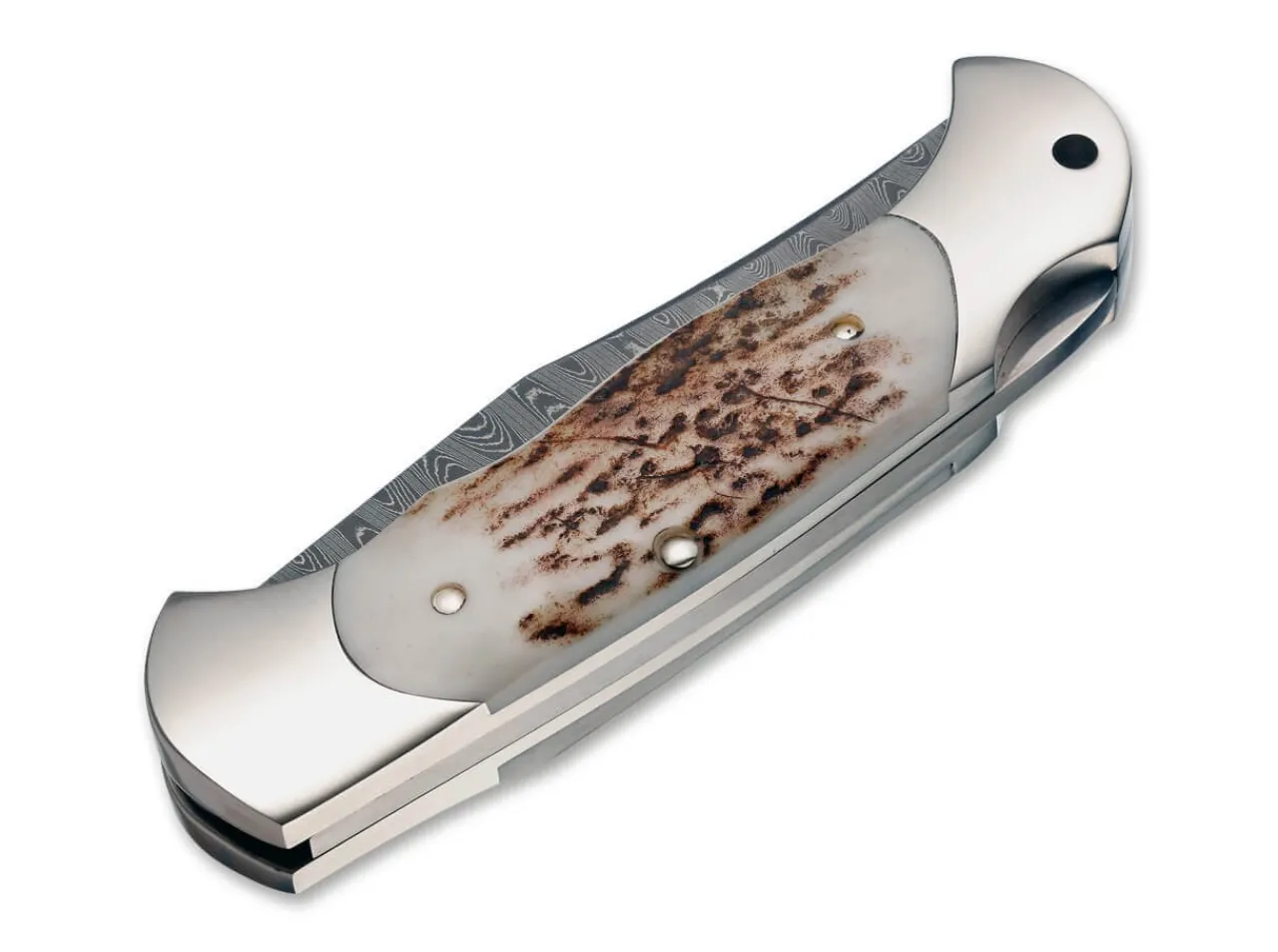 Scout Stag Damascus|Böker Manufaktur Solingen Outlet