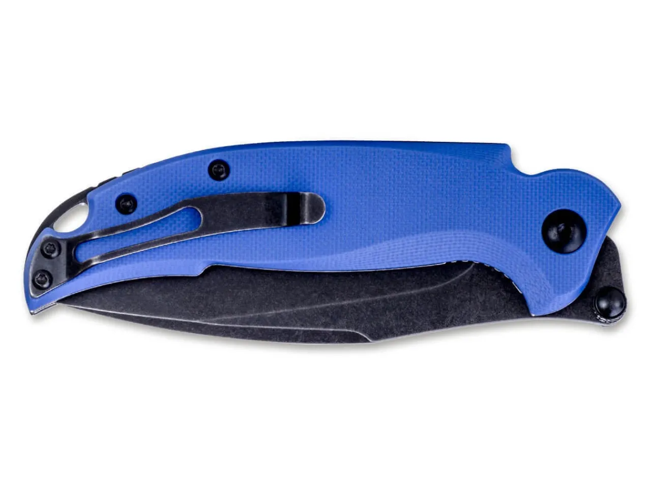 Scylla F79-24|Steel Will