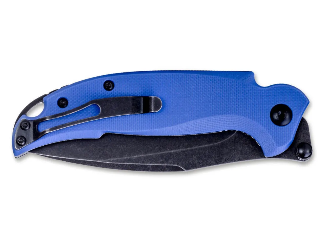 Scylla F79-24|Steel Will