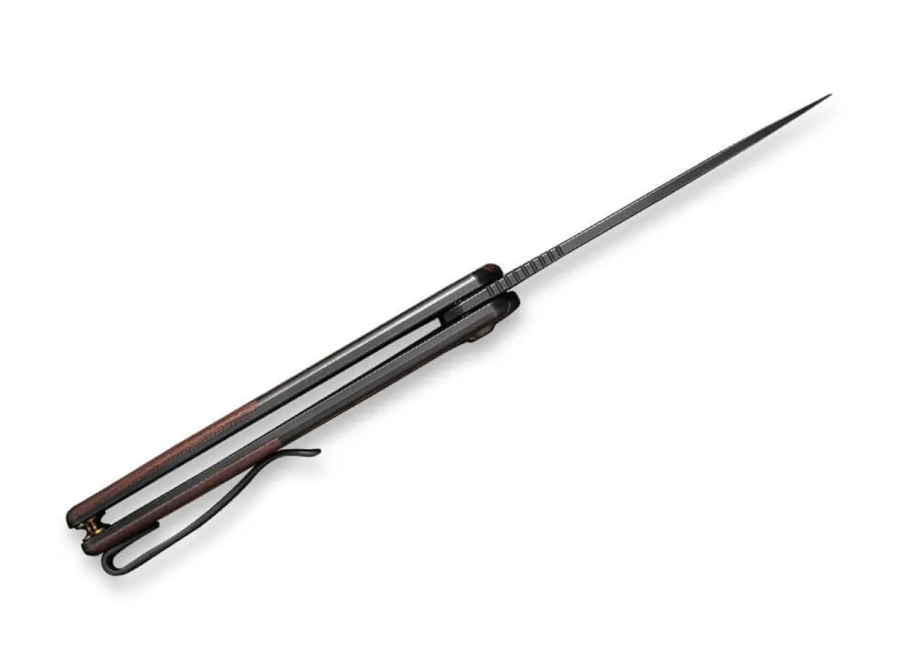 Smooth Sentinel Titanium Cuibourtia|WE Knife Outlet