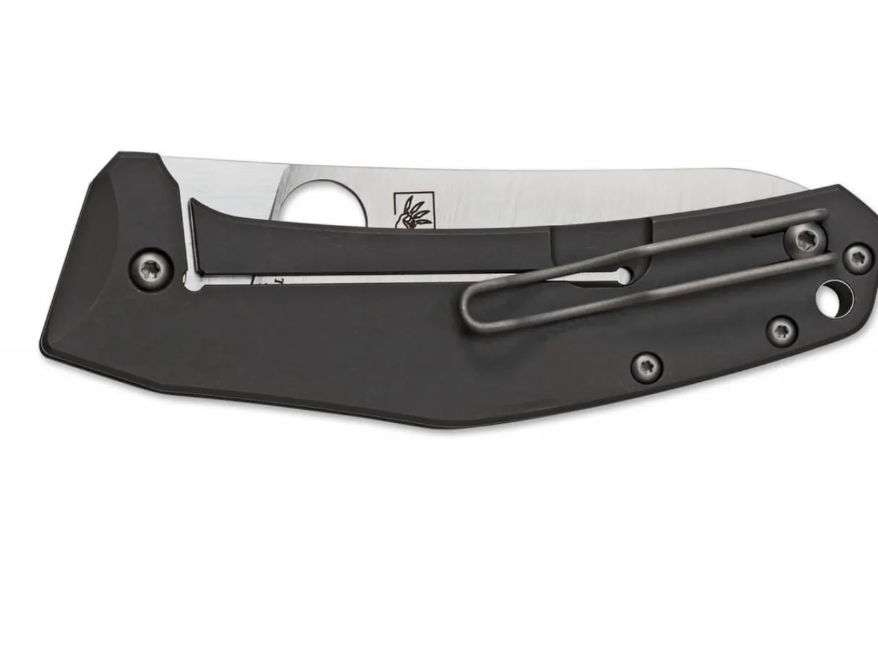 Spydiechef|Spyderco Best