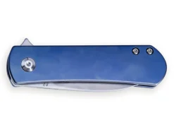 Yorkie Blue|Kizer