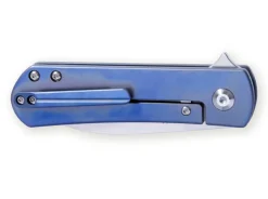 Yorkie Blue|Kizer